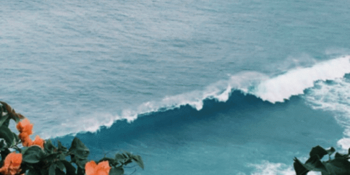 750x1334 random | summer | Aesthetic wallpapers, Aesthetic iphone wallpaper