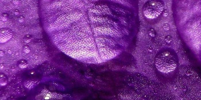 750x1334 30 HD Purple iPhone Wallpapers