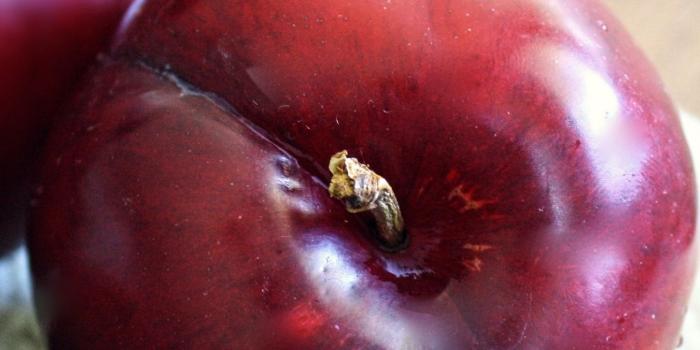 1350x2400 Download wallpaper 1350x2400 plum, ripe, fruit iphone 8+/7+/6s+/6+