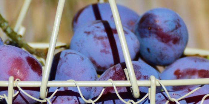 938x1668 Download wallpaper 938x1668 plum, fruit, basket iphone 8/7/6s/6 for