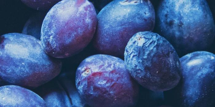 938x1668 Download wallpaper 938x1668 plum, plate, fruit iphone 8/7/6s/6 for