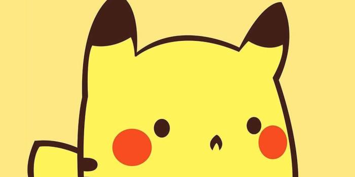 1080x1808 Paradora on Wallpapers in 2019 | Pikachu chibi, Pikachu