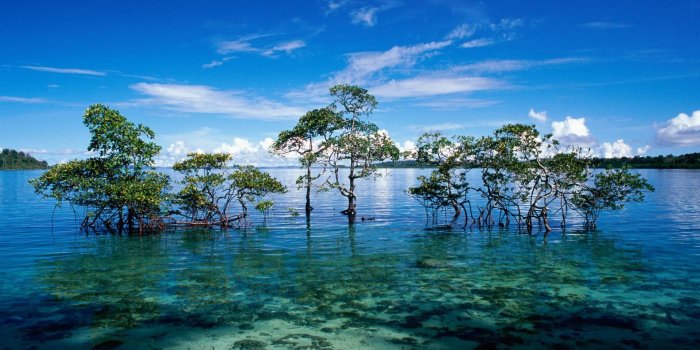 1920x1080 India Desktop Wallpaper (57+ images)