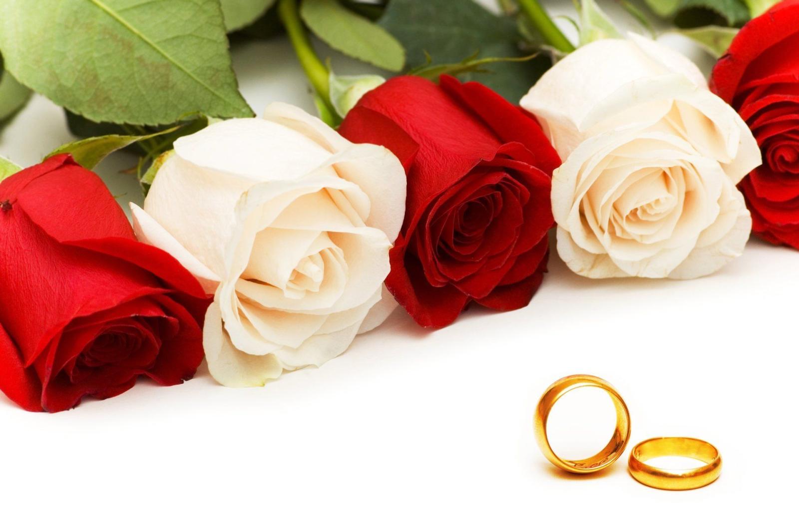 1920x1277 Wedding Roses wallpaper Gallery