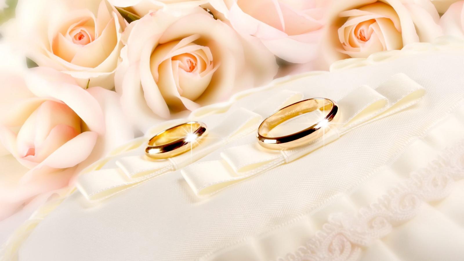 2560x1440 Download wallpaper 2560x1440 rings, wedding, gold, glitter, fabric
