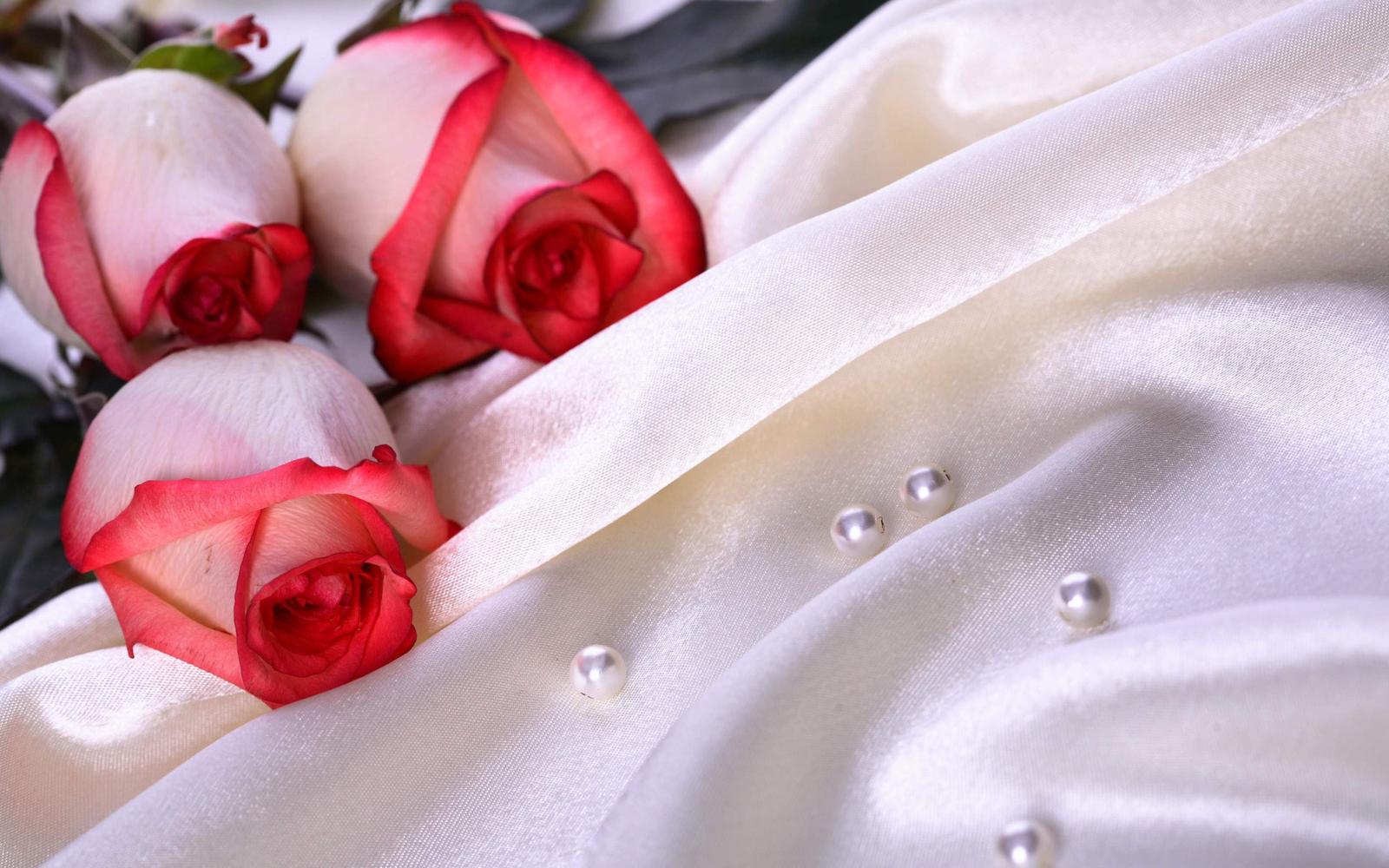 2560x1600 Wedding Ring Flowers Rose Photography Depth Of Field wallpaper