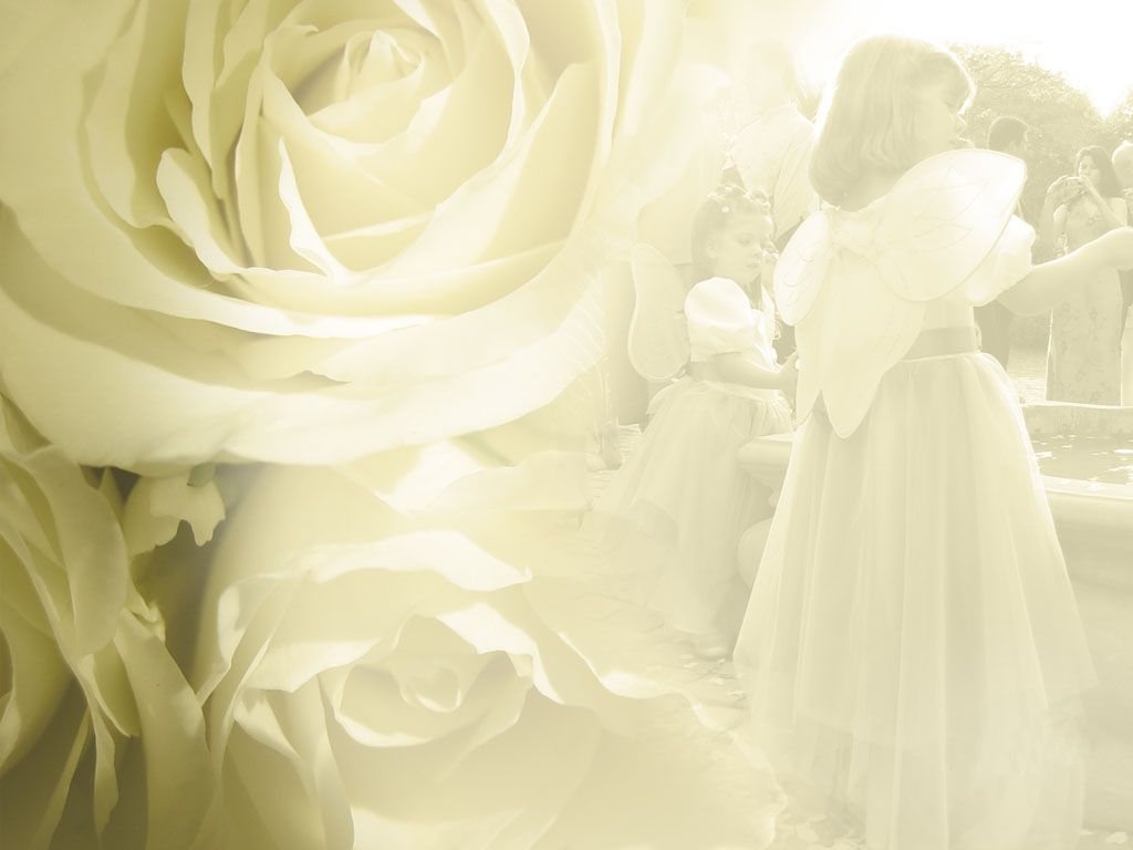 1024x768 68+] Wedding Flowers Background on WallpaperSafari