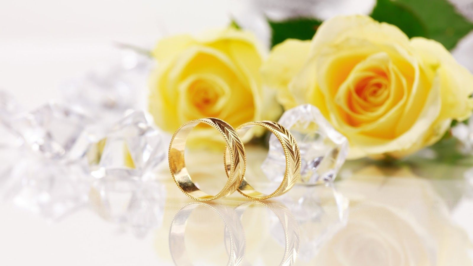 1600x900 Yellow Roses and Gold Wedding Rings - Mystery Wallpaper