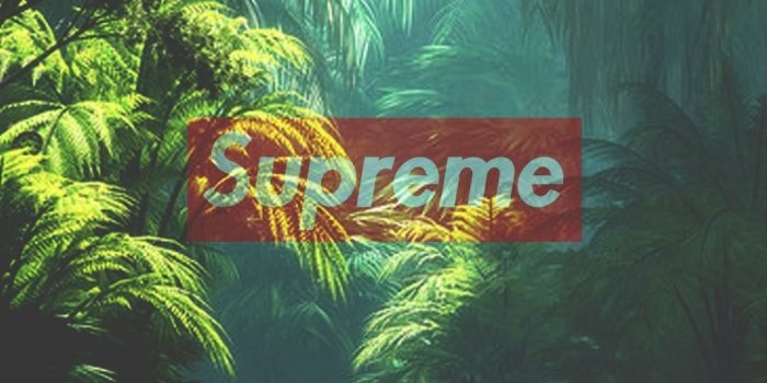 1080x1920 Supreme, Green Forest, Cool wallpaper | Wallpaper in 2019 | Supreme