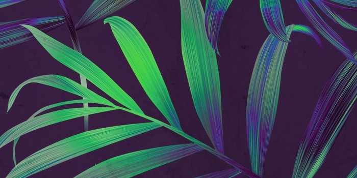 1500x2592 Dope Tumblr Backgrounds