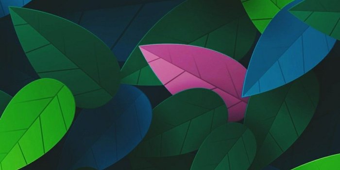 1080x1920 Leaves walls | 2018 in 2019 | Summer wallpaper, Cellphone wallpaper