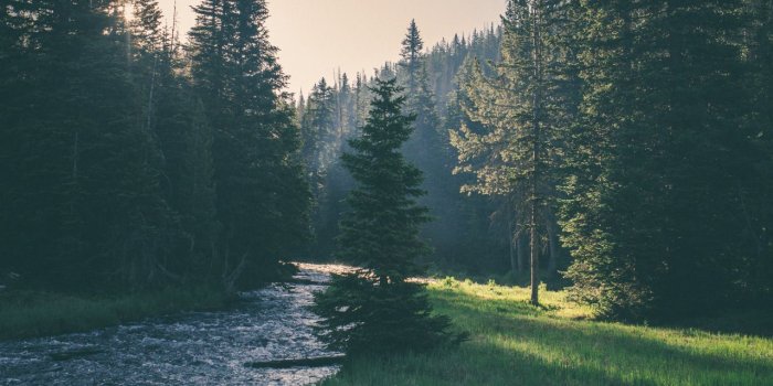 1280x1920 Wallpapers – MIUI