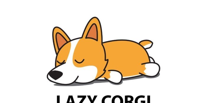 1080x1920 Yu Kheng Ngee on corgiii cuteee in 2019 | Corgi wallpaper
