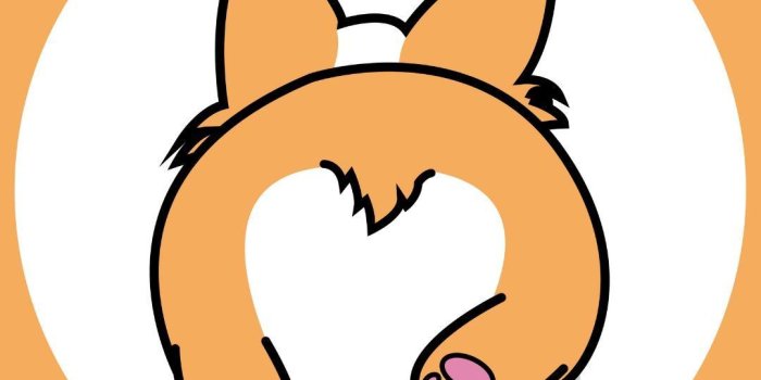1080x1920 Cute Corgi Wallpapers for Android - APK Download