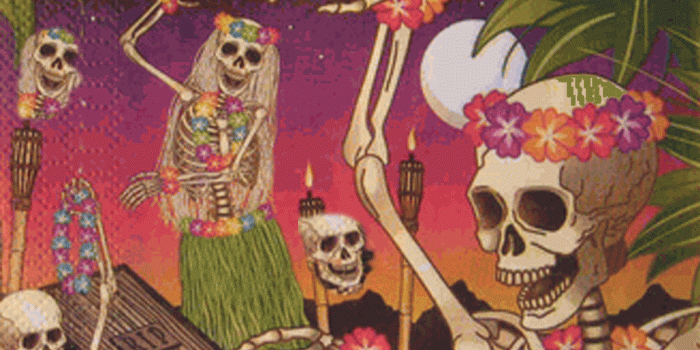 1024x768 Mexican Fiesta Wallpapers