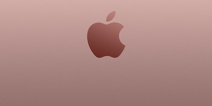 1125x2001 40+] Rose Gold Apple Wallpaper on WallpaperSafari