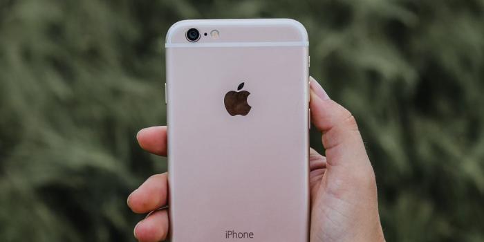 1000x1500 Apple Wallpaper Iphone 7 Rose Gold - apple wallpaper
