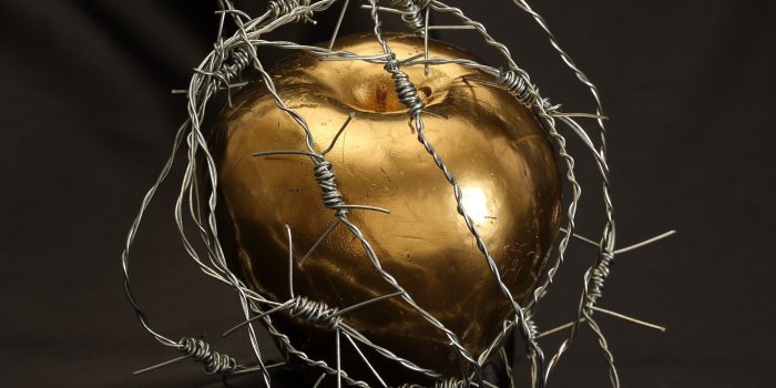 1920x1200 Download wallpaper 1920x1200 apple, barbed wire, drops, gold