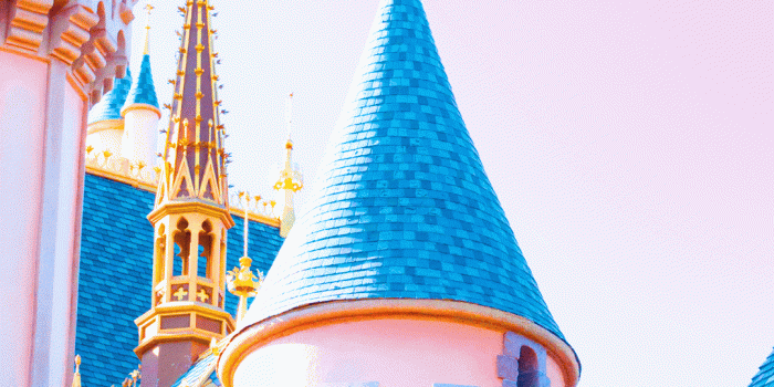 1080x1920 Disneyland Wallpaper (47+), Download 4K Wallpapers For Free