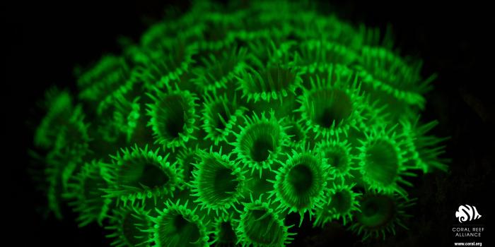 4000x2250 Download Desktop Wallpaper