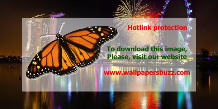 2560x1600 Fireworks in Singapore HD Wallpaper