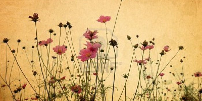 1200x804 Image for Vintage Flower Desktop Wallpaper HD | Facebook Headers I
