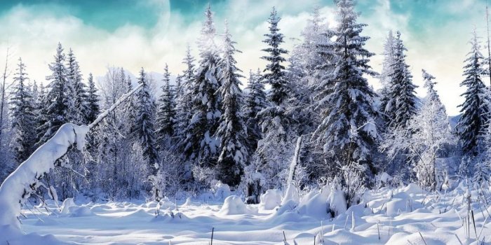 1280x1024 Standard 5 - - Winter Wonderland Facebook Cover (#560081) - HD