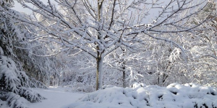 1024x768 Facebook Cover Photo Contest Extended: Share Your Winter Photos