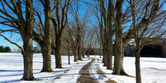 1024x768 Facebook Cover Photo Contest: Share Your Winter Photos | Canton, MA