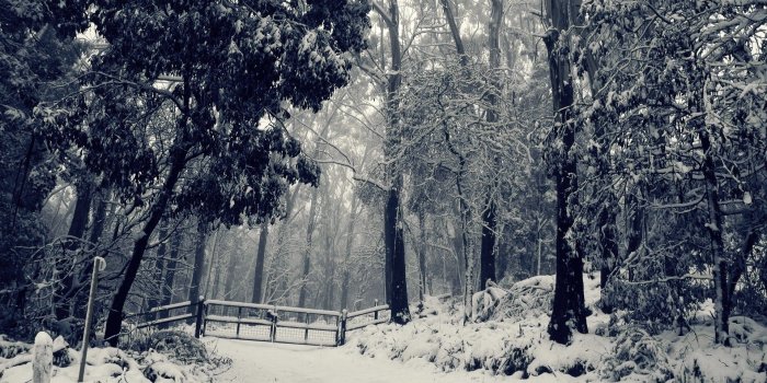 1920x1200 Winter Facebook Covers wallpaper - 984120