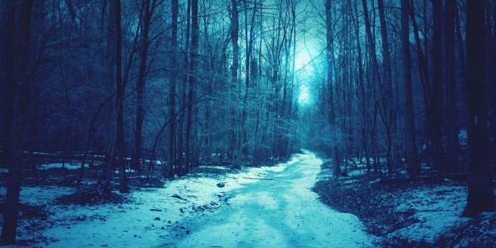 1600x1200 825x315 Blue Forest Winter Facebook Cover Photo