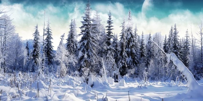 1280x2480 Awesome Winter Landscape | Bavarian winter | Winter facebook covers