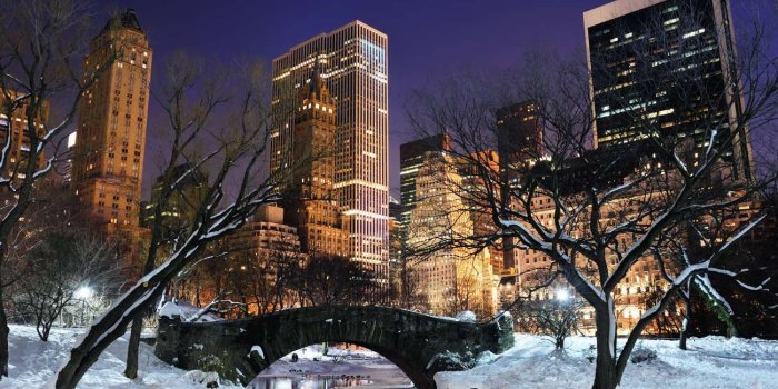 1300x865 New York Central Park in the Winter Facebook cover