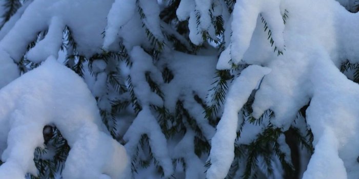 1024x768 Winter 11 Free Wallpaper for Facebook®, Twitter® and other social