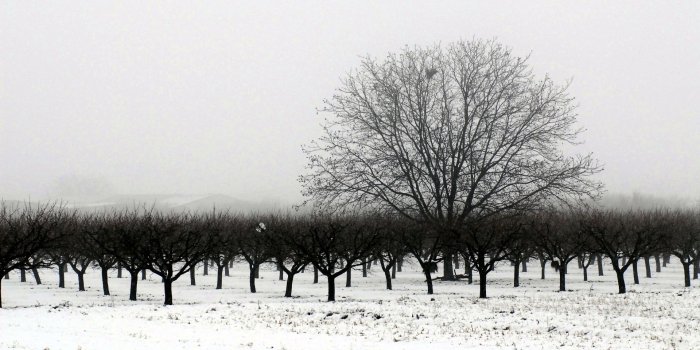 1920x1080 Winter Cover Facebook wallpaper - 1044667