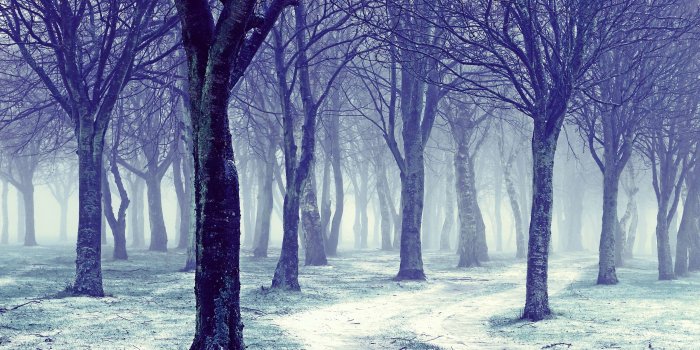 2560x1600 Winter Quotes Facebook Cover Photos (99+ images in Collection) Page 2