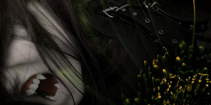 1920x1440 Vampire Anime Wallpapers