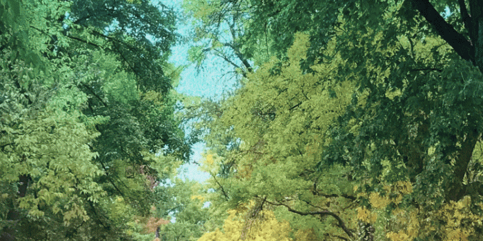 750x1334 How do I change my iPhone lock screen wallpaper? - Ask Dave Taylor