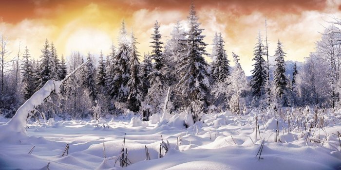 1920x1200 2627 Winter HD Wallpapers | Background Images