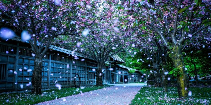 1920x1080 70+ Spring Nature Wallpapers on WallpaperPlay