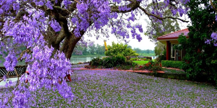 1920x1200 70+ Spring Nature Wallpapers on WallpaperPlay