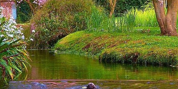 1080x1920 Spring Nature Wallpaper For Android - 2019 Android Wallpapers