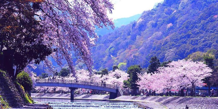 1024x768 Spring Nature Wallpapers