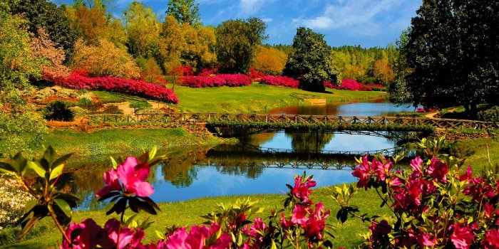 2560x1600 40+ Beautiful Nature Wallpapers | Wallpapers in 2019 | Spring