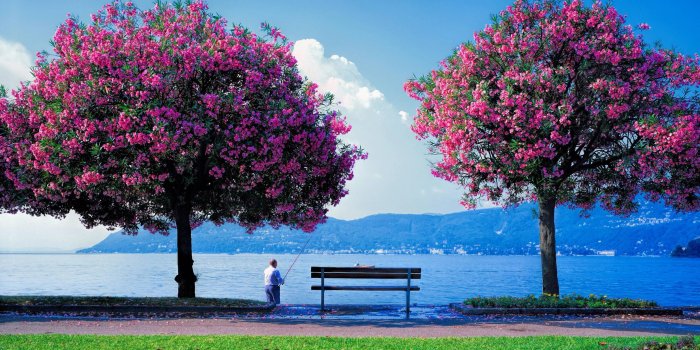 2592x1620 Spring Nature HD Wallpapers