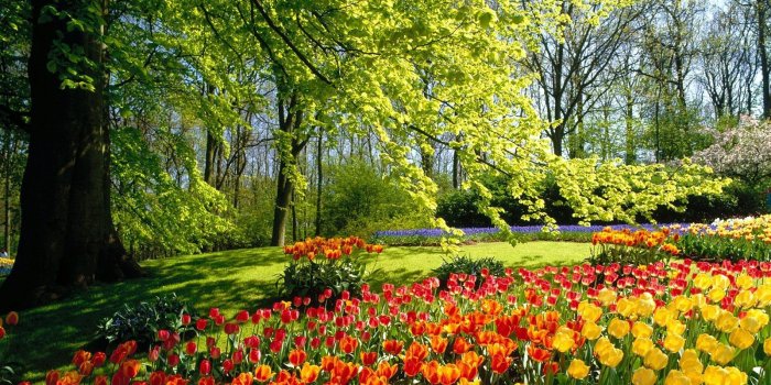 1600x1200 Spring Park Wallpaper Spring Nature Wallpapers in jpg format for
