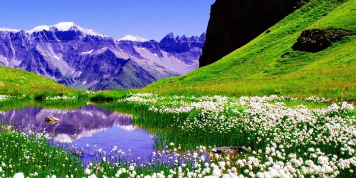 1920x1080 Spring Nature Mountain View Wallpaper - Wallpaper Stream