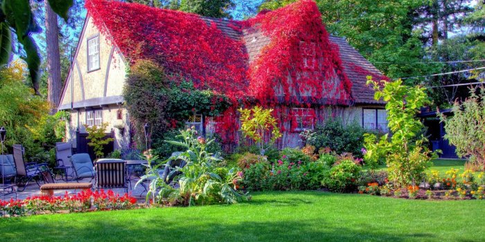 1920x1080 Wallpaper's Collection: «Spring Nature Wallpapers»