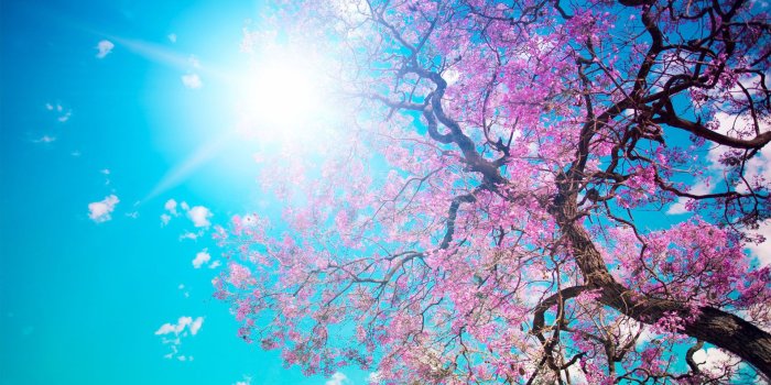 1920x1200 70+ Spring Nature Wallpapers on WallpaperPlay