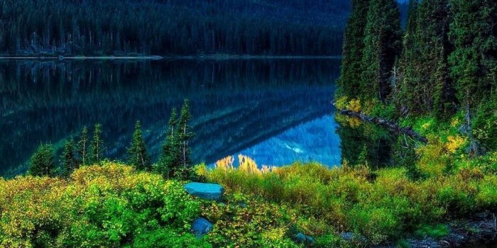 1080x1920 70+ Spring Nature Wallpapers on WallpaperPlay